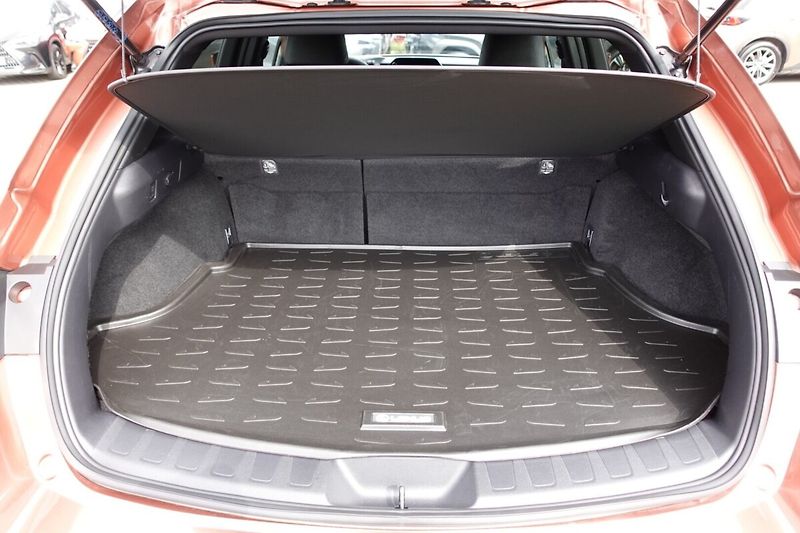 Lexus UX 300h UX300h 2,0 HEV Business Tech - fotka 15 z 34