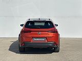 Lexus UX 250h 2,0 HSD F Sport Design AWD - náhled 9
