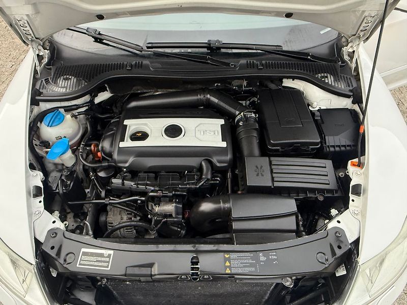 Škoda Octavia (2010) - fotka 31 z 46