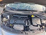 Peugeot 207 1,6 88kw Roland Garros - náhled 12