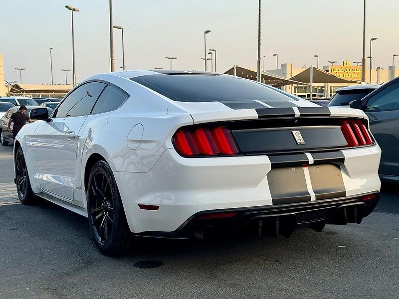 Ford Mustang (2017) Pro milovníky Ameriky - fotka 5 z 16