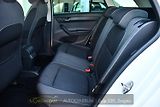 Škoda Fabia 1,2TSi DSG 2xALU 61tKM STYLE  - náhled 13