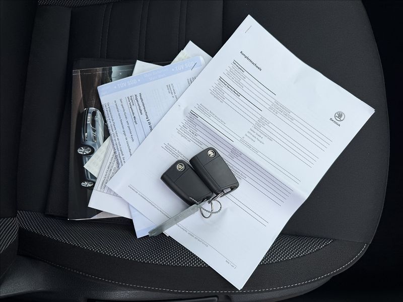 Škoda Octavia III 1.6 TDI Ambition - fotka 19 z 19