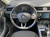 Škoda Octavia (2016) 1.6 TDi, ČR, Ambition Fresh - náhled 11