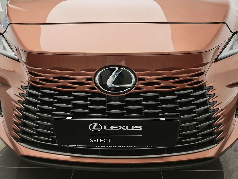 Lexus RX 450h plus RX 450h+ Luxury - fotka 7 z 50