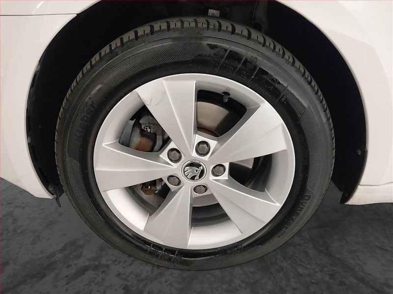 Škoda Octavia (2019) Ambition 1.5 TSI, Tempomat - fotka 15 z 21