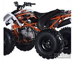 Kayo 180 Sport (2026) - náhled 2