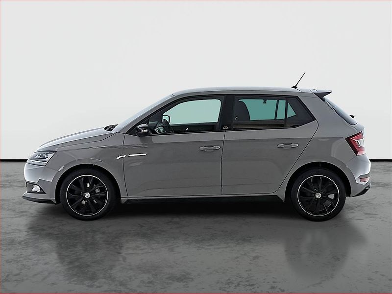 Škoda Fabia (2021) Monte Carlo 1.0 TSI, Kůže - fotka 3 z 17