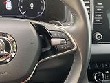 Škoda Karoq (2023) 2.0 TDI 4x4 DSG Style - náhled 20