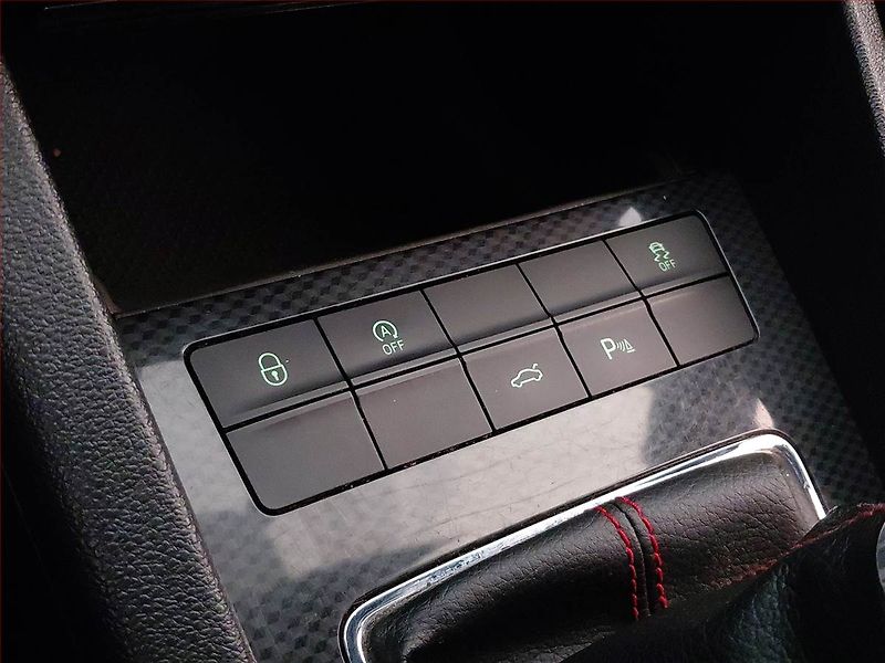 Škoda Octavia (2016) RS 2.0 TDI, Serv.kniha, Kůže - fotka 16 z 19
