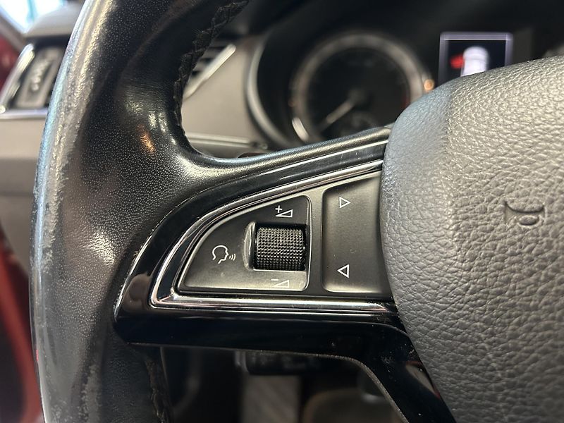 Škoda Octavia (2016) 2.0TDi L&K DSG Bi-X ACC Canton - fotka 13 z 34