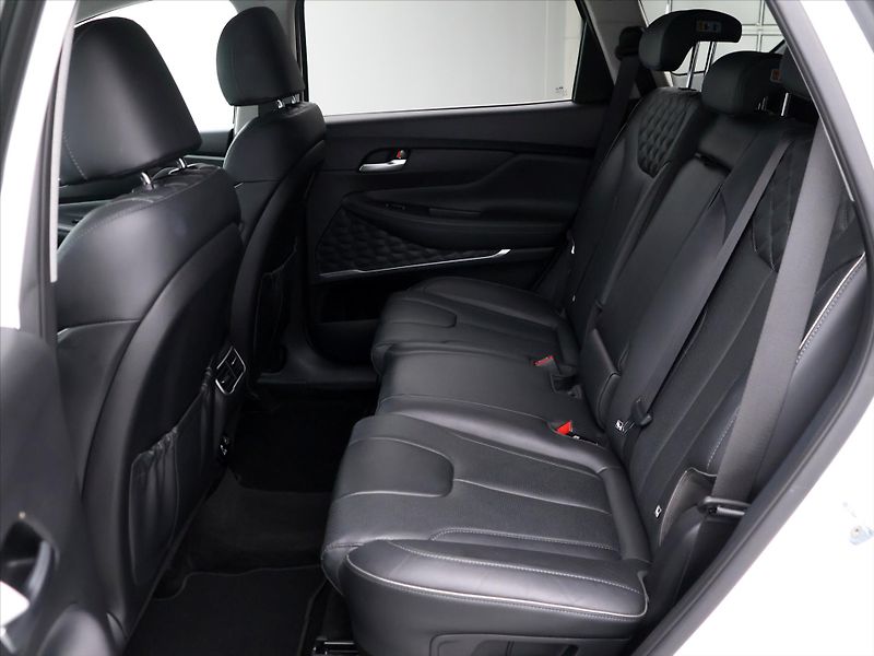 Hyundai Santa Fe 2,2 CRDi 142kW Style DCT CZ DP - fotka 15 z 41