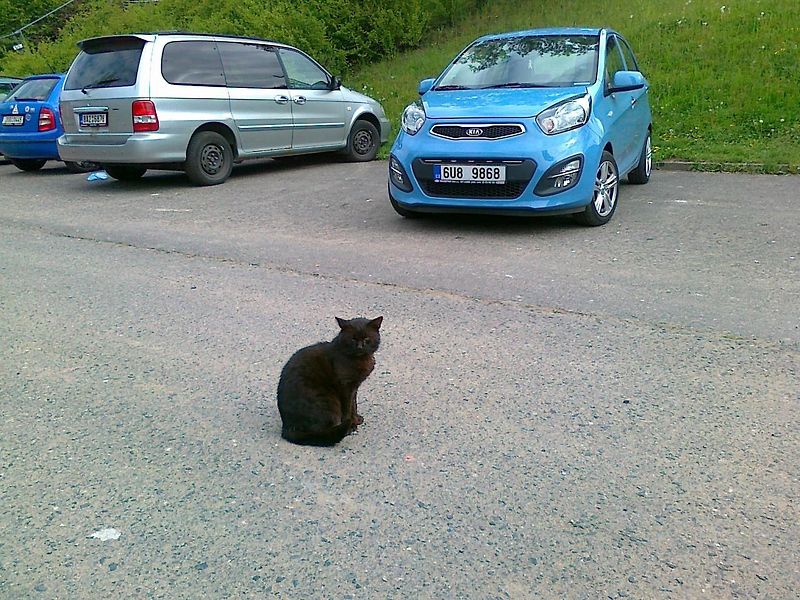 ZKUŠENOSTI UŽIVATELE: Kia Picanto TA 