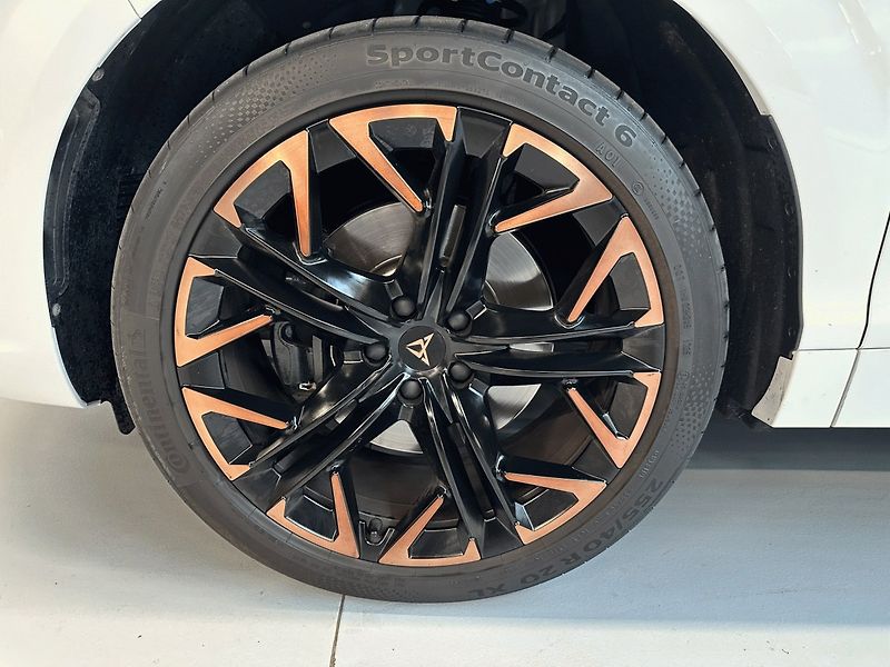 Cupra Terramar (2025) 2.0 TSI 265k 4WD DSG *HD MTRX* - fotka 10 z 25