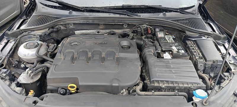 Škoda Octavia (2017) - fotka 19 z 22