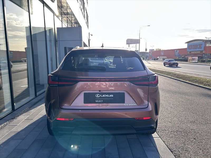 Lexus NX 350h 2.5  4V Luxury - fotka 4 z 11