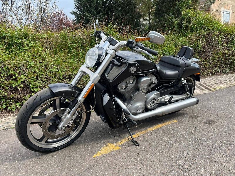 Harley-Davidson VRSCF V-Rod Muscle (2015) - fotka 4 z 13