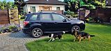 Subaru Forester 2.0 benzin 110 kw 4x4 - náhled 22