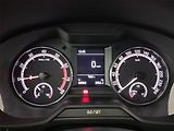 Škoda Octavia (2020) 1.0 TSI, Tempomat - náhled 11