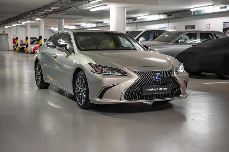 Lexus ES 300h (2020) Luxury, LED, 360, DPH - fotka 4 z 27