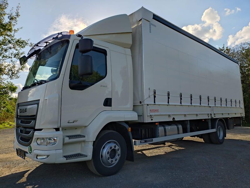 DAF LF (2019) 290-16t-18EP-Čelo-Lůžko - fotografie inzerátu