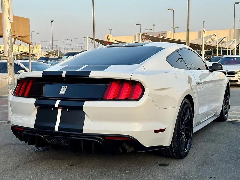 Ford Mustang (2017) Pro milovníky Ameriky - fotka 6 z 16