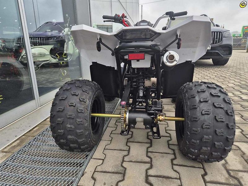Linhai ATV 100 LH (2026) ATV 110 - fotka 24 z 74