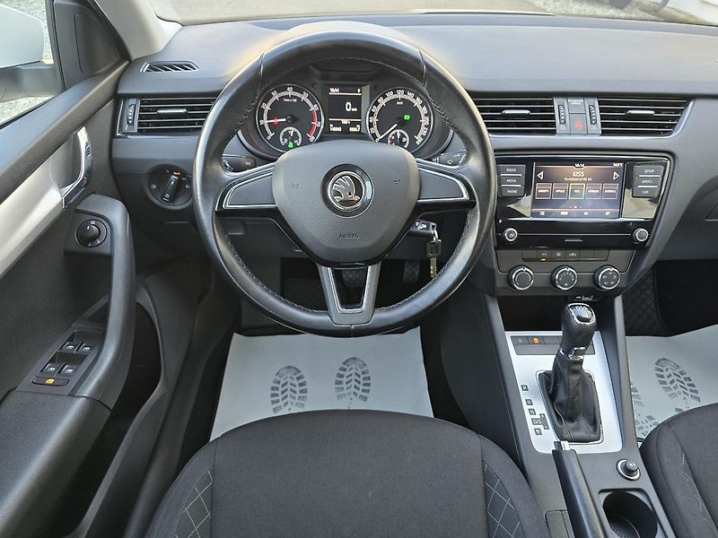 Škoda Octavia 1.5TSI CNG DSG 1.Maj. ČR - DPH - fotka 8 z 18