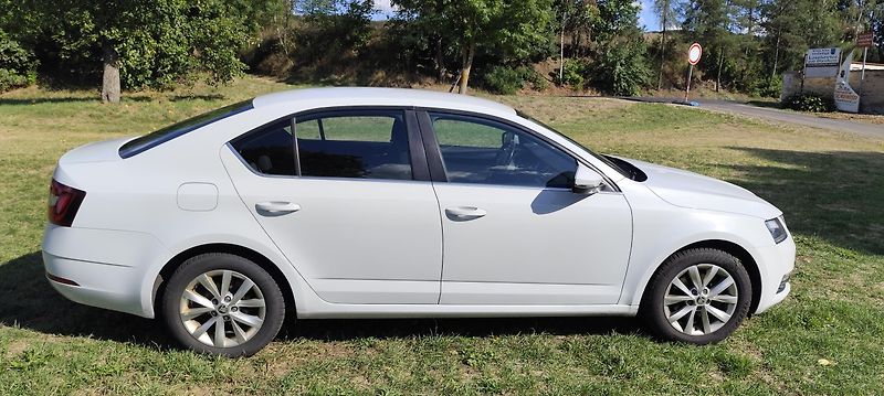 Škoda Octavia (2018) - fotka 4 z 17
