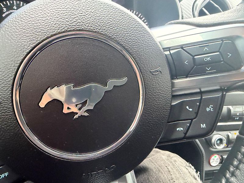 Ford Mustang (2021) 2.3 EcoBoost Manuál BMPR 2021  - fotka 22 z 25
