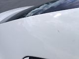 Škoda Octavia III 1.6 TDI - náhled 40