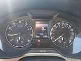 Škoda Octavia (2016) 46tis km, tažné, původ ČR - náhled 30