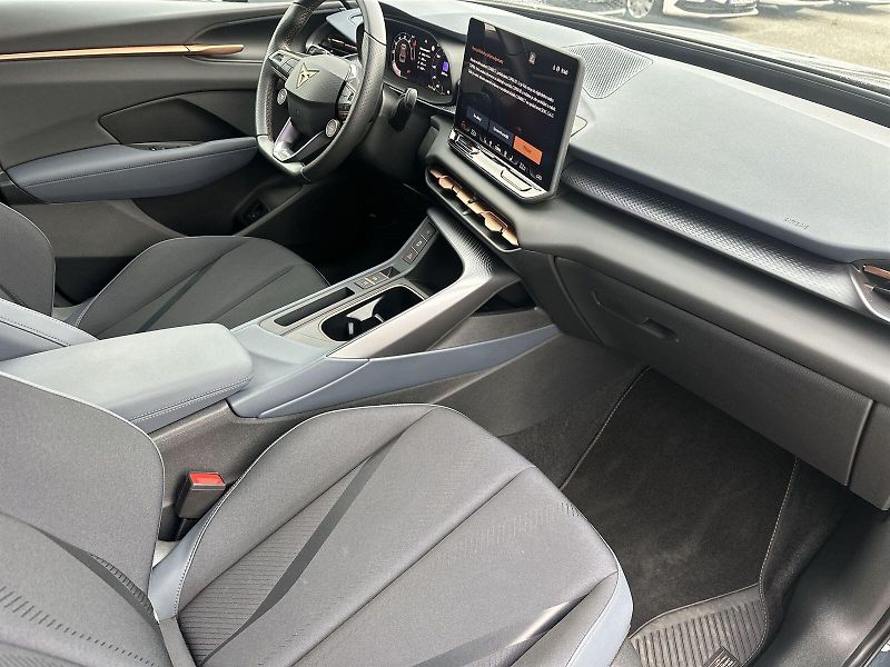 Cupra Terramar (2025) 2.0 TSI 4Drive DSG - fotka 10 z 34