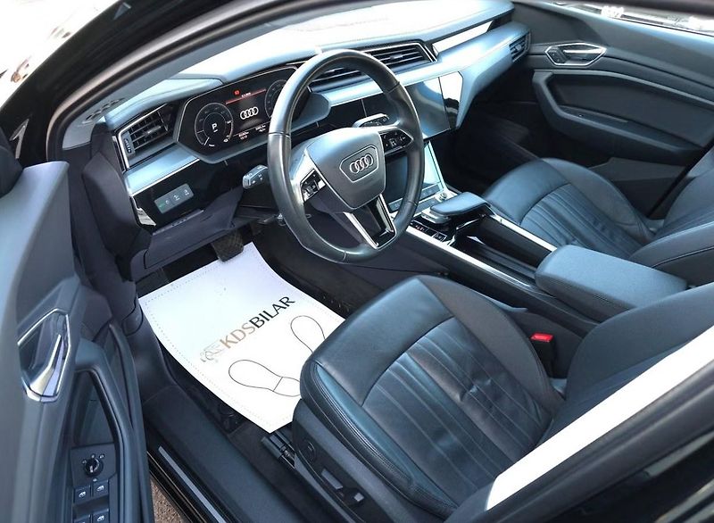 Audi e-tron 55 Quattro Kamera Vzduch LED - fotka 9 z 13