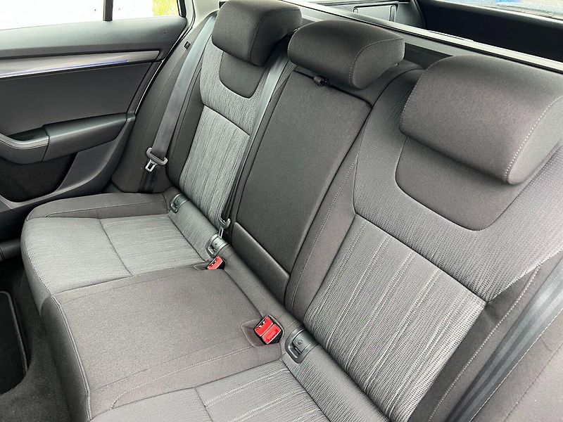 Škoda Octavia (2017) 1.0TSI 85kW Style+! Canton! - fotka 18 z 37