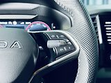 Škoda Karoq (2025) 1.5TSI*SPORT*360*5.LET.ZÁR - náhled 21