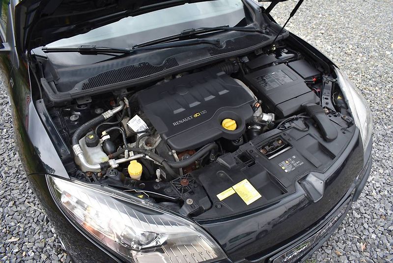 Renault Mégane 1,9 DCi BOSE,96KW,NAVI,PĚKNÝ - fotka 19 z 19