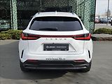 Lexus NX 350h 2,5 Executive - náhled 9