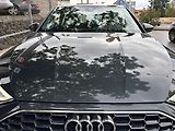 Audi A3 1.0TFSI/2022/SB-Edition.1MAJ.D - náhled 46