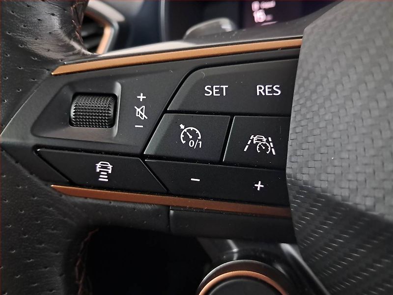 Cupra Formentor (2020) 2.0 TSI VZ 4Drive - fotka 17 z 20