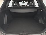 Toyota RAV4 (2022) 2.5 Hybrid - náhled 14