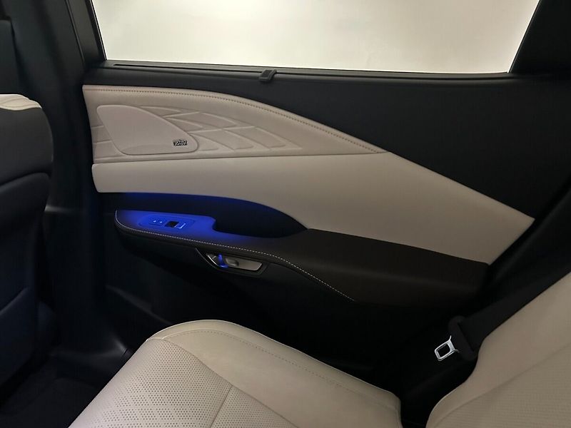 Lexus RX 450h+ 2.5 PHEV LUXURY - fotka 12 z 12