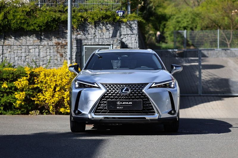 Lexus UX 300h 300H 2,0 HEV BUSINESS TECH - fotka 3 z 28