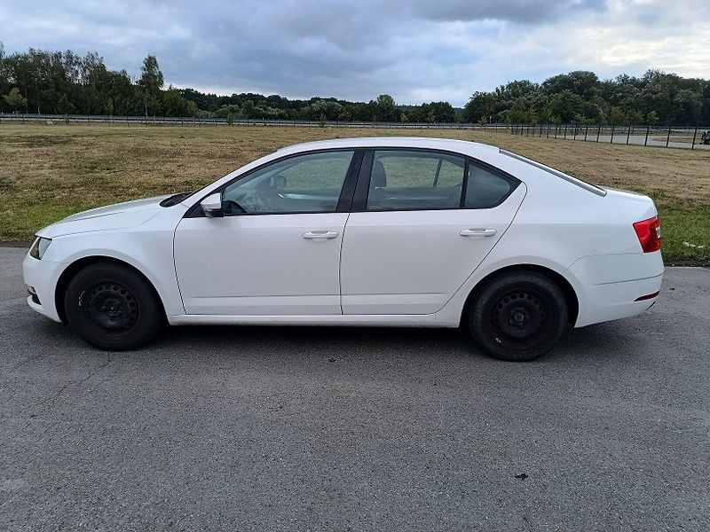 Škoda Octavia III 2.0 TDI - fotka 3 z 42