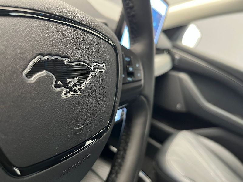 Ford Mustang Mach-E SoH 94,5 %, po servisní prohlí - fotka 20 z 68