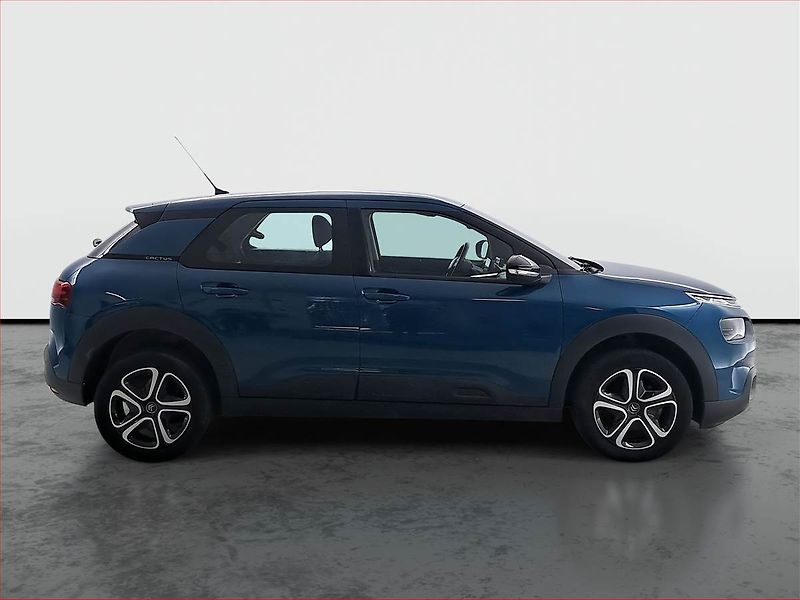 Citroën C4 Cactus (2020) 1.2 PureTech, Serv.kniha, Navi - fotka 6 z 16