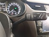 Škoda Octavia (2015) Laurin&Klement 2.0 TDI, 4X4 - náhled 18