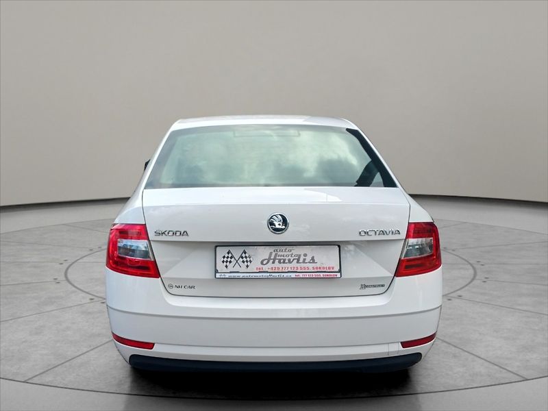Škoda Octavia 1,6 TDI 85Kw plný servis - fotka 6 z 19