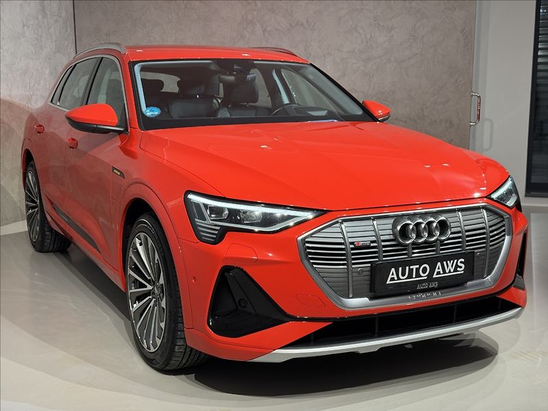 Audi e-tron 300kW S-Line Night Vision - fotka 4 z 48