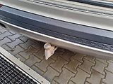 Volvo XC90 (2016) 2,0 D5 AWD DRIVE-E INSCRIPTION - náhled 22
